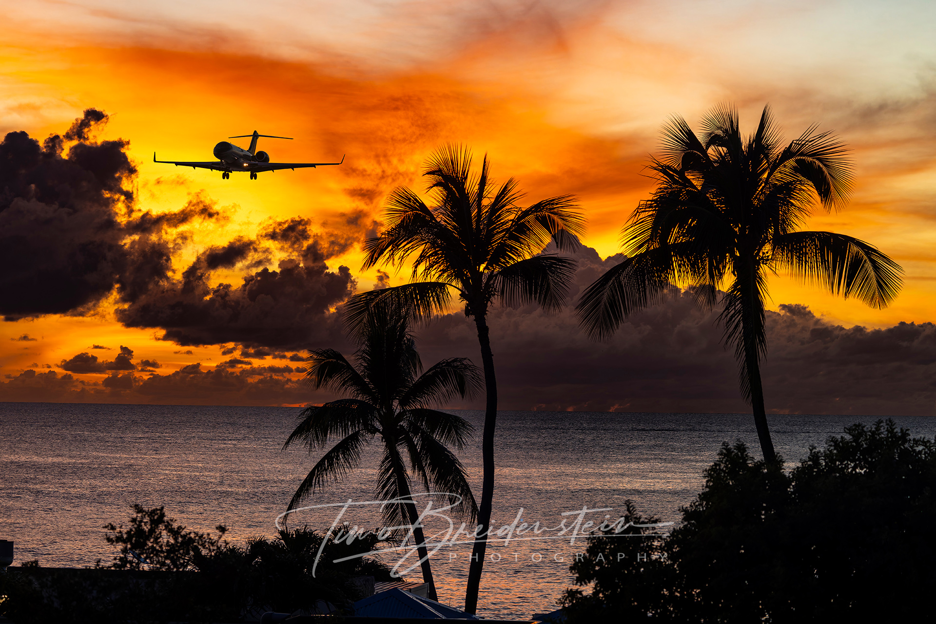 20250103 2N8A3882 (1) Kopie 2